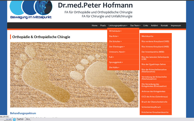 styrolart print- und webdesign - website dr hofmann